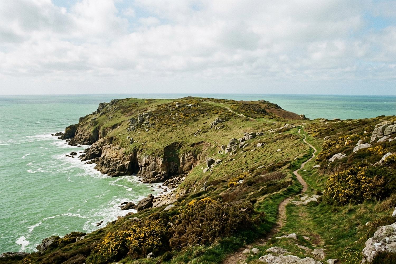 A granite headland of cropped turf above a green sea, with gorse in flower.