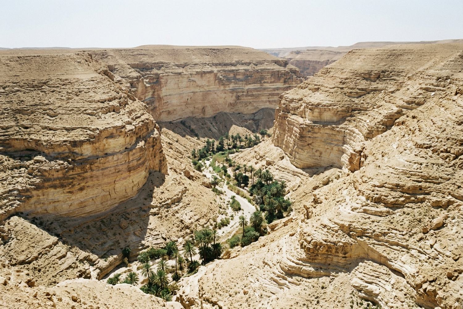 A deep dry canyon of pale layered rock with date palms on the floor far below.